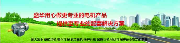 高效節能電機,高效電機,超高效率電機,盛華電機