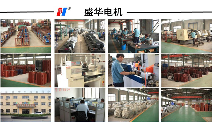 山東電機(jī)廠,高效電機(jī),變頻電機(jī),三相異步電機(jī)