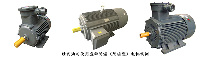 山東電機廠,電機生產廠家,三相異步電機
