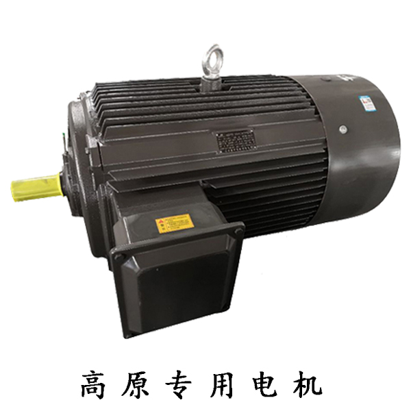 山東電機廠,電機生產(chǎn)廠家,三相異步電機