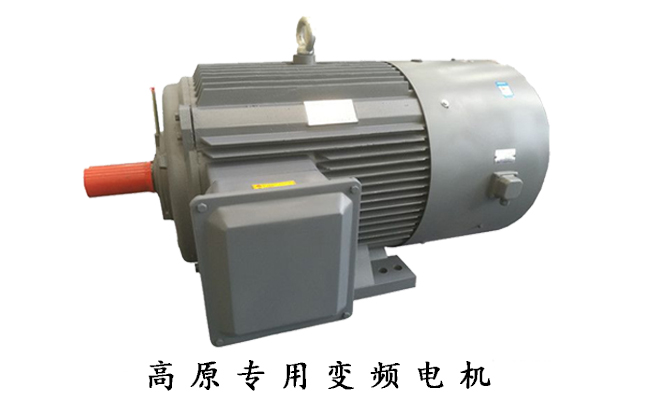 山東電機廠,盛華電機,變頻電機,變頻調(diào)速電動機