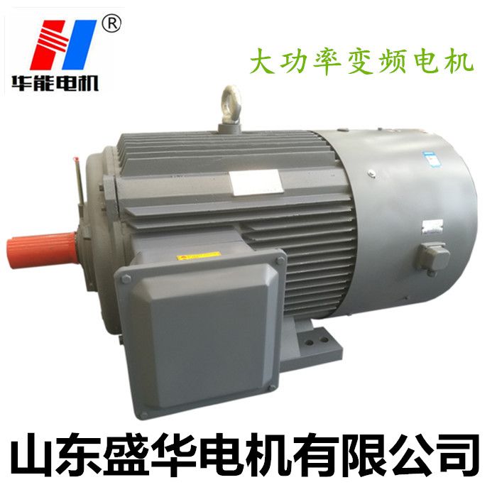 電機廠,山東電機廠,變頻調速電機,變頻電機