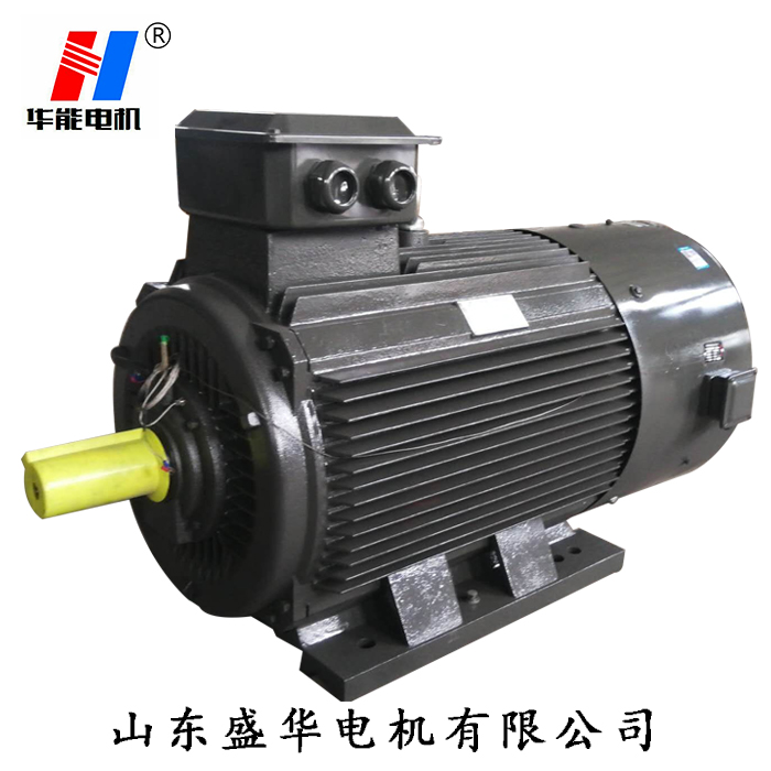 山東電機(jī),三相電動機(jī),電動機(jī),山東電機(jī)廠,三相異步電動機(jī)