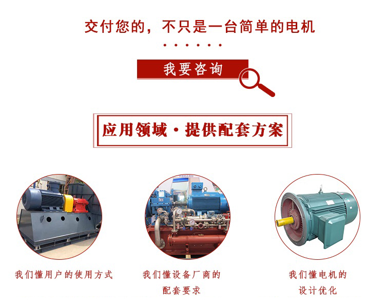 山東電機(jī),電機(jī)生產(chǎn)廠家,三相電機(jī),電動機(jī)