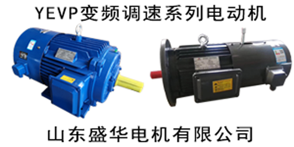 臨清電機(jī)廠,電機(jī)生產(chǎn)廠家,大功率電動機(jī)