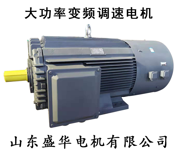山東電機廠-大功率電機
