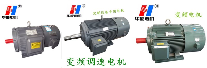 山東盛華-變頻調(diào)速電機(jī)生產(chǎn)廠家