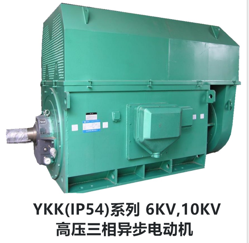 山東盛華-YKK大功率高壓電機