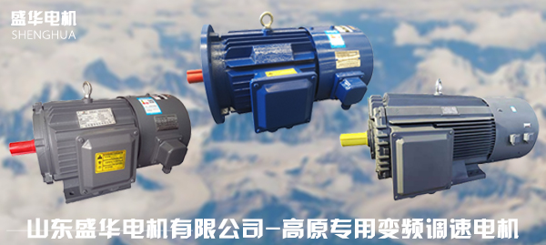 山東高原電機廠家-高原電機產品