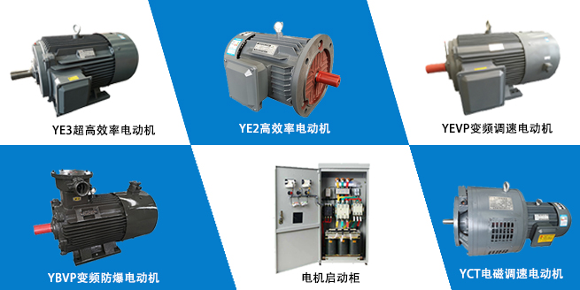 山東盛華電機廠