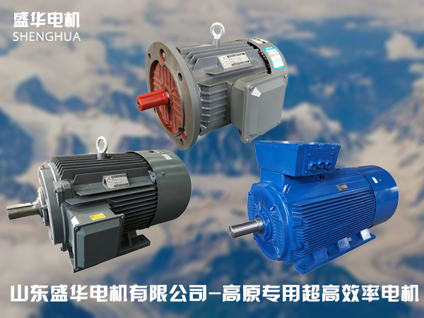 山東高原電機廠-高原專用電機