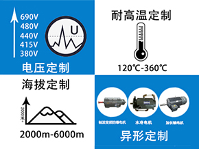 山東高原電機廠-盛華電機